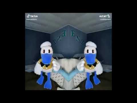 Donald Duck And The Mouse Trap A Funny TikTok Video By DonaldDucc Effects 360P
