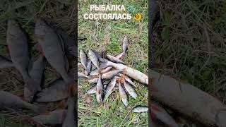 РЫБАЛКА на ПОПЛАВОЧНУЮ удочку🎣 природа🌿🍃 отдых⛺ лес🏡 река 🦞🤿🦞🤿