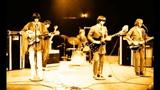 Buffalo Springfield // LIVE // Mr. Soul // 1968