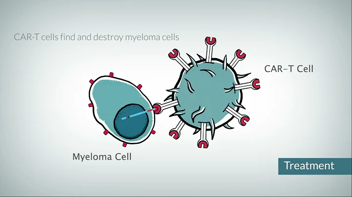 How does CAR T cell therapy work?