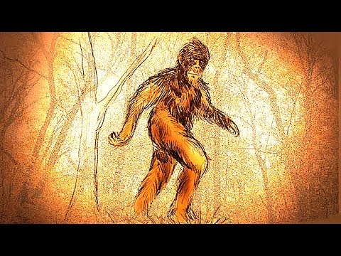 IS BIGFOOT PARANORMAL? - That Bigfoot Show with Jason McLean