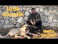 Köpeklerde Mama Geçişleri Nasıl Olur.  10 Dk Güreş Sonrası Video :) 
