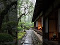Rain &amp; Piano at Japanese Shrine Gate Sacred Rain for Sleep &amp; Study