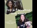 Alternative dog moms ep 3  the albany healthy dog expo recap