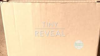 Tiny Kitchen Reveal