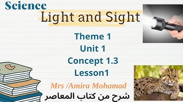 Science Grade 4 | Light and sight | Concept 3 | Lesson 1 | Activity 1 | First term 2024-2025