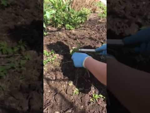 Тяпка из нержавейки косая большая 30 см ручка SKRAB 28071