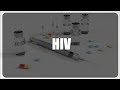HIV explained #17