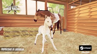 TESTANDO O NOVO JOGO DE CAVALO - The Horse Project 