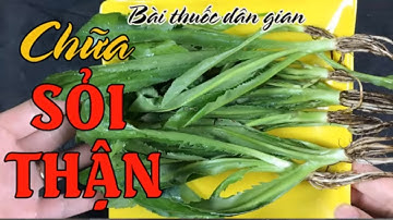 “Tống khứ “ SỎI THẬN, SỎI TIẾT NIỆU nhờ bài thuốc dân gian cực đơn giản