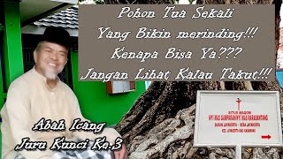 Download Lagu Maqom nyi mas rarasantang | jangan nonton kl takut!!! MP3 Download Lagu Maqom nyi mas rarasantang | jangan nonton kl takut!!! MP3