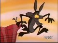 Wile E Coyote And Gravity