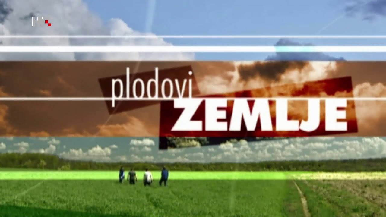 PLODOVI ZEMLJE, 31. siječnja 2021.
