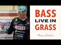 Bass in Aquatic Rugs: Breakthroughs in Fishing Grass Vegetation