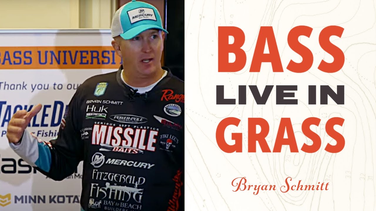 Bass in Aquatic Rugs Breakthroughs in Fishing Grass Vegetation YouTube