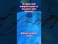 Vdeonu İspaniyada akvariumda çəkmişəm #aba #azxp #təbriz