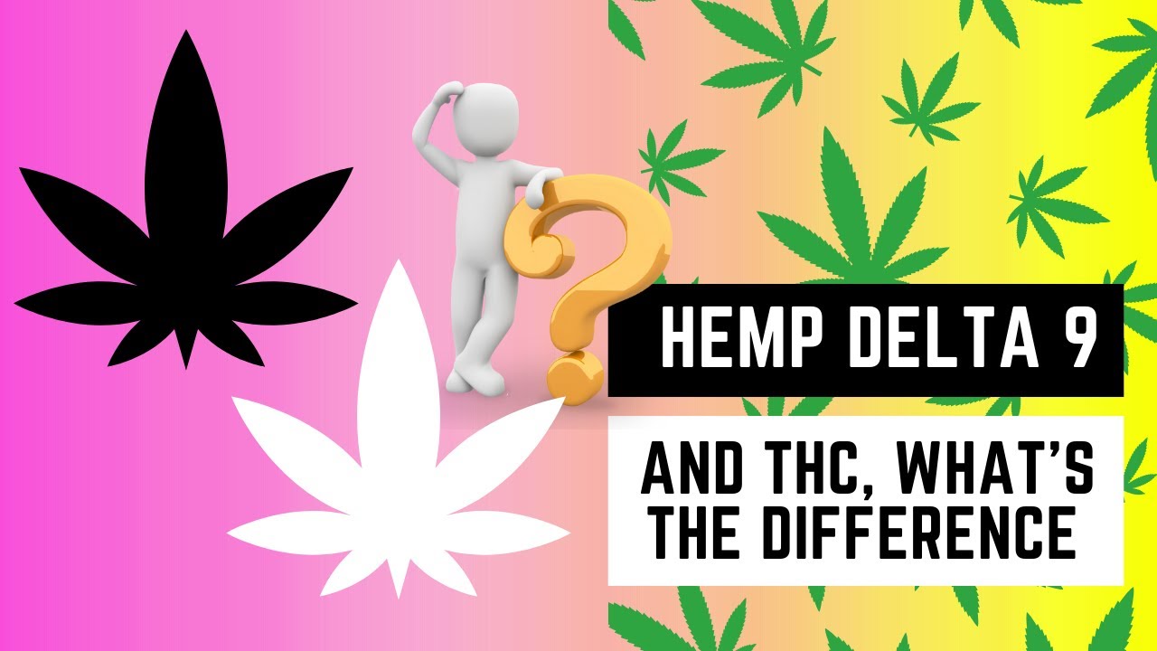 Is Hemp-Derived Delta-9 THC Real Weed? Find Out the Facts