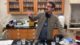 Osmosis Lab: at home