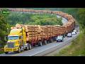 Extreme Dangerous Big Logging Wood Truck Driving Skill | Fastest Chainsaw Cutting Tree Machines #19