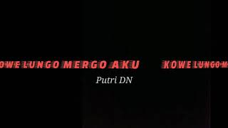 PUTRI DN - KOWE LUNGO MERGO AKU(lirik)
