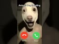 Antonio Dog is calling... #torpiux #memes #fyp #fypシ #discord #3am #2am #unsettling #uncannyvalley
