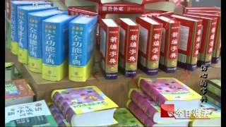 今日说法 《今日说法》 20130426 伤心的字典