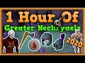 OSRS Greater Nechryael Slayer Guide 2020
