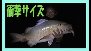 GT釣るまで帰れません！6日目【宮古島】