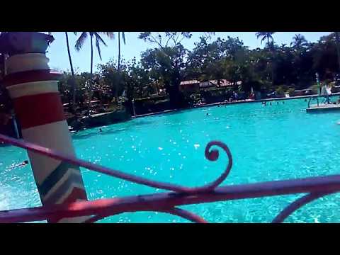 Vídeo: La piscina veneciana de Coral Gables: la guia completa