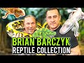 Brian Barczyk Amazing Reptile Collection