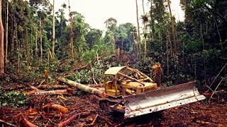 Heavy Machines and Deforestation !