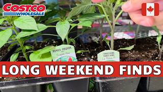 Current Deals at Costco | COSTCO CANADA Shopping