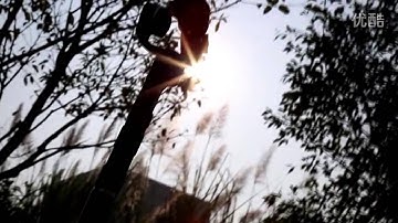 FY G4 3 Axis Handheld Steady Gimbal