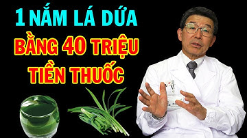 Lấy Lá Dứa Nấu Nước Uống, Kết Quả Chữa Bệnh Bất Ngờ Khiến Triệu Người Làm Theo