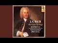 Miniature de la vidéo de la chanson Die Kunst Der Fuge: Canon 14 Per Augmentationem In Contrario Motu