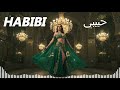 Best Habibi Belly Dance Visuals Relaxing Oriental Vibes Best Habibi Belly Dance Visuals Relaxing Oriental Vibes