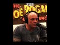 #jre #jrefunnymoments #podcast #joeroganpodcast #joeroganexperience #jreclips #interview