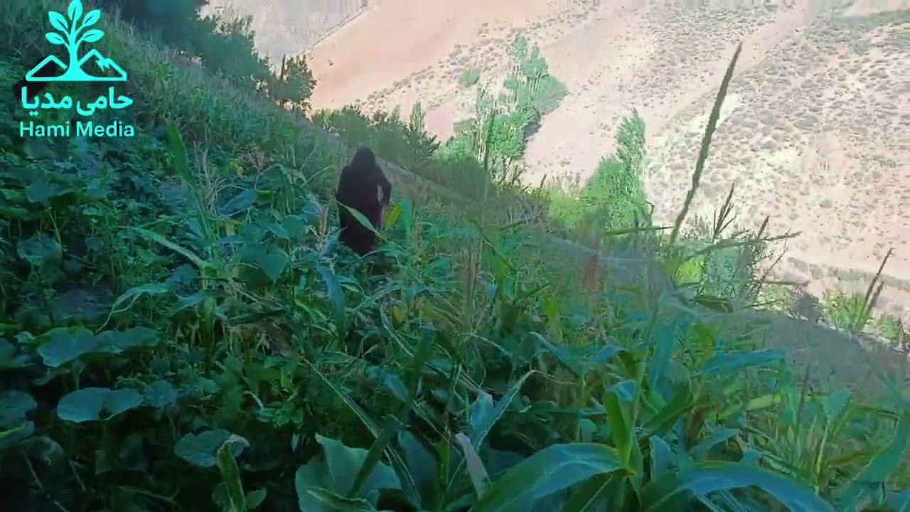 My ancestral village in Khadir district, Daikundi province دایکندی خدیر 