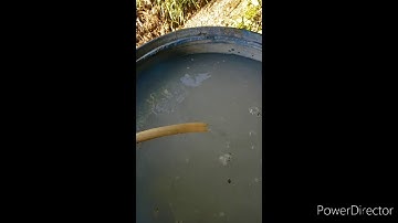 ||TRICODERMA||☆ ||method||☆ uses|| of multiplying in water