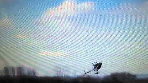 Rainbows with half Piro Nose in and Tail in