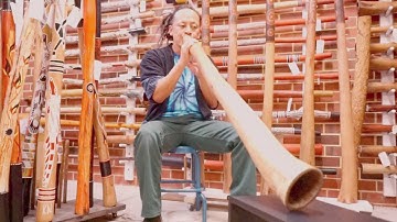 Jesse lethbridge didgeridoo key of E (web code 4845)