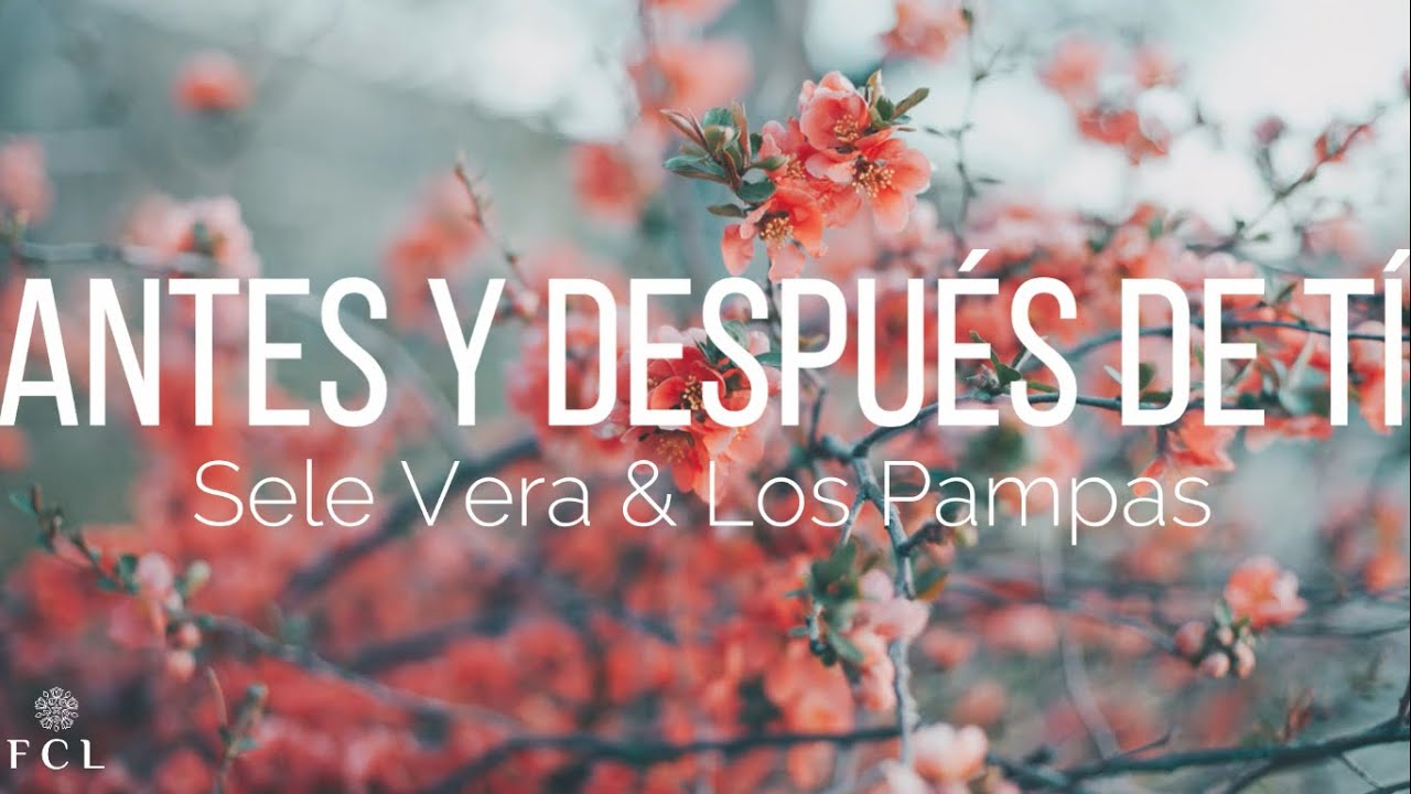 Antes Y Despues De Ti Letra