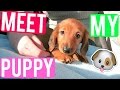 MEET MY NEW PUPPY! | VLOGMAS
