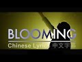 The Winking Owl - Bloom Chinese/English Lyrics 中英字幕