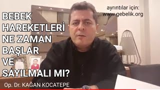 Anne Karnındaki Bebeğin Hafta Hafta Görüntüsü