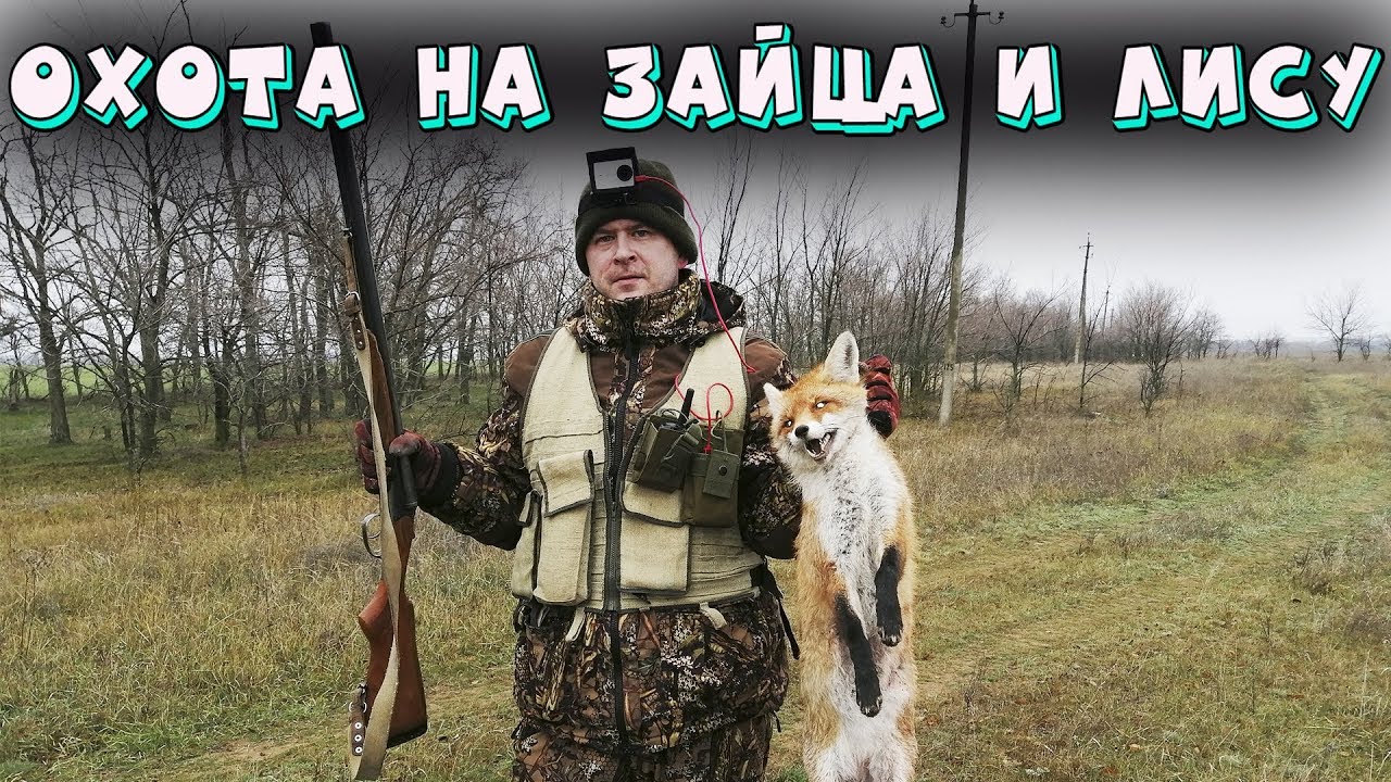 Бампер на лису