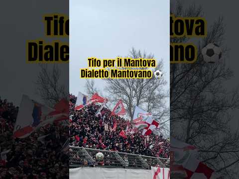 Video Tifoseria del Mantova Dialetto Mantovano
