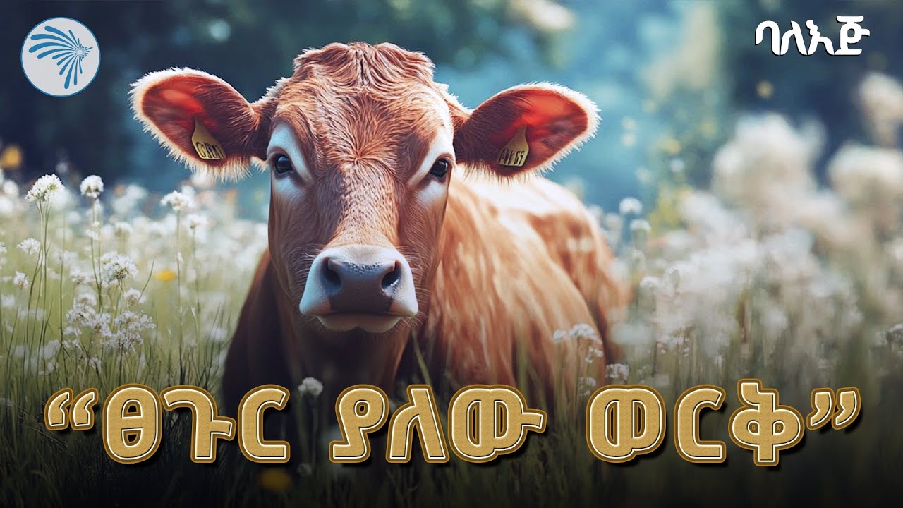 ልጆች ጥራት ያለው እና የሚያምር ነገር ይገባቸዋል" [ባለ እጅ]