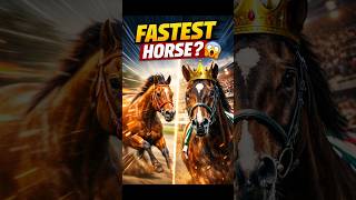 “Fastest Horse Breed 🐎🔥#shorts