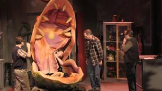 Little Shop of Horrors - Featuring Puppeteer